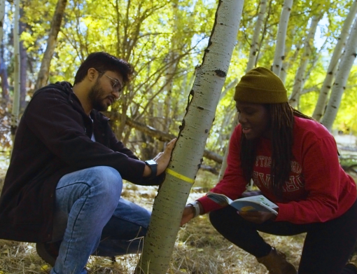 学生s measuring tree trunk